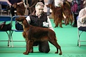 Crufts2011 068